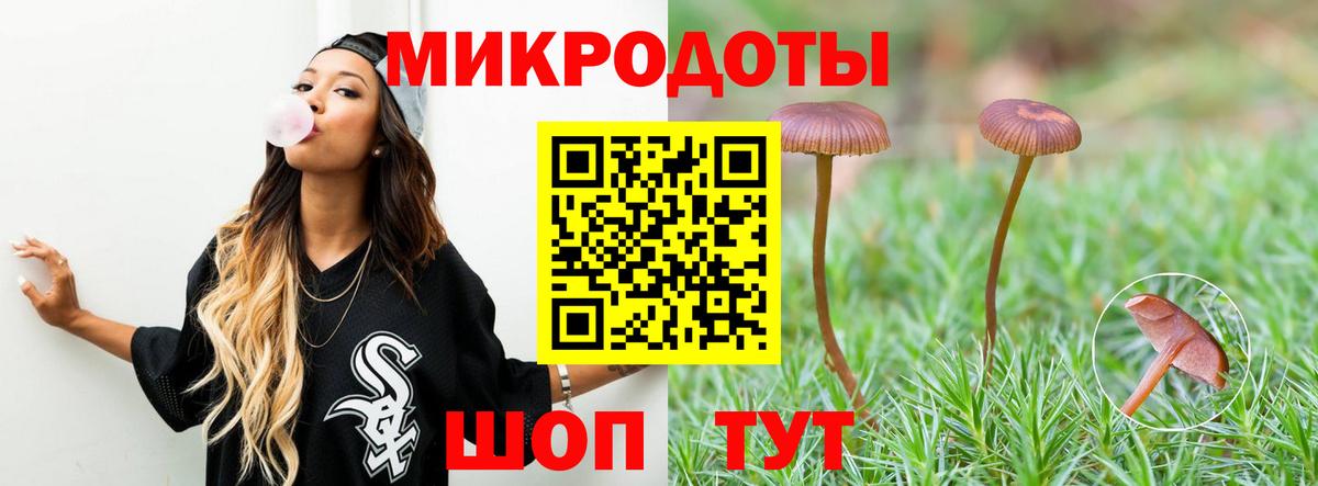 Вязьма  Галлюциногенные грибы прущие грибы  Вход с VPN  Псилоцибиновые грибы ЛСД 